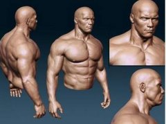 三维动画有哪些分类？